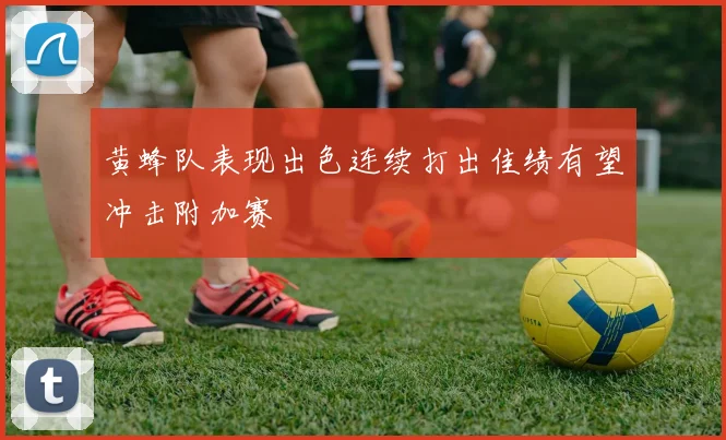 黄蜂队表现出色连续打出佳绩有望冲击附加赛