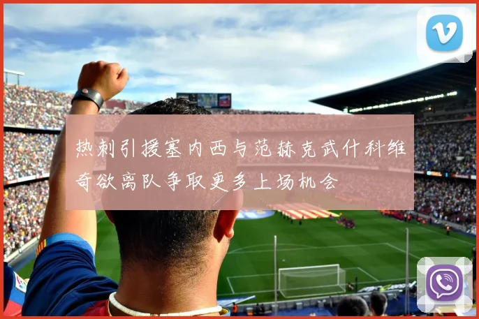热刺引援塞内西与范赫克武什科维奇欲离队争取更多上场机会